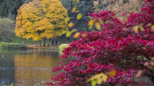 Autumn colours around the lake